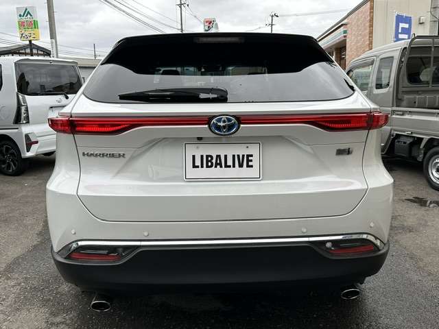 Toyota Harrier 10