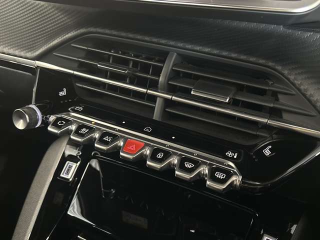 Peugeot SUV 2008 10
