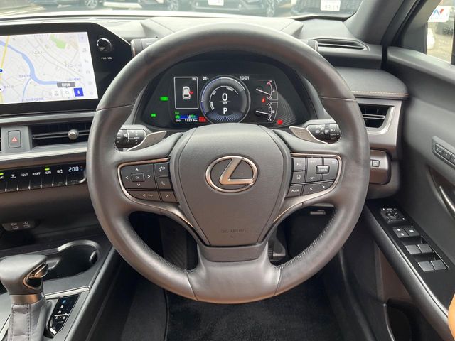 Lexus UX 11