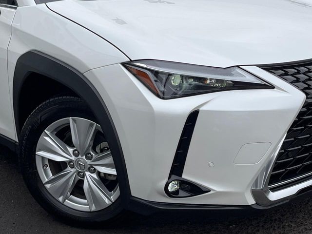 Lexus UX 12
