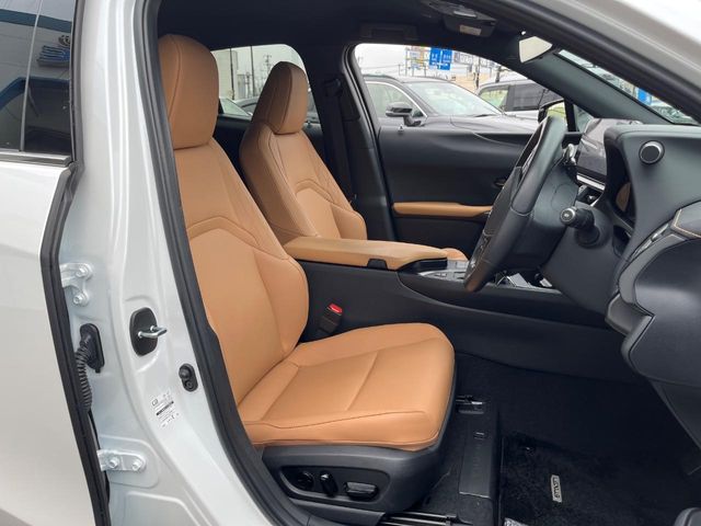 Lexus UX 8