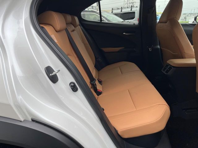 Lexus UX 9