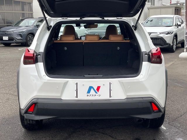 Lexus UX 10
