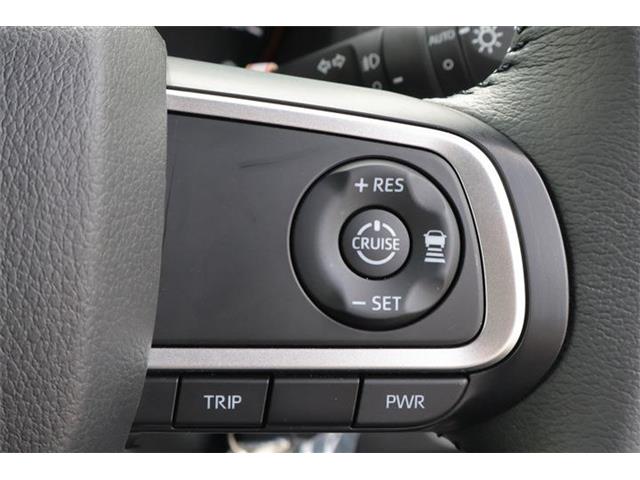 Daihatsu Taft 6