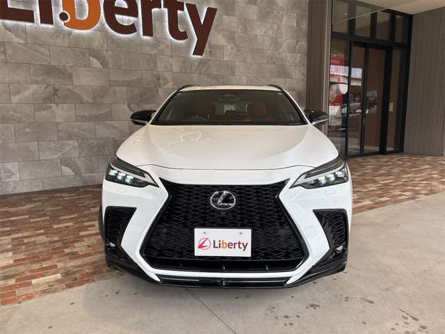 Lexus NX 12