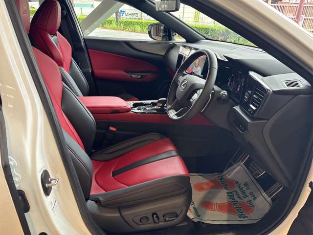 Lexus NX 10
