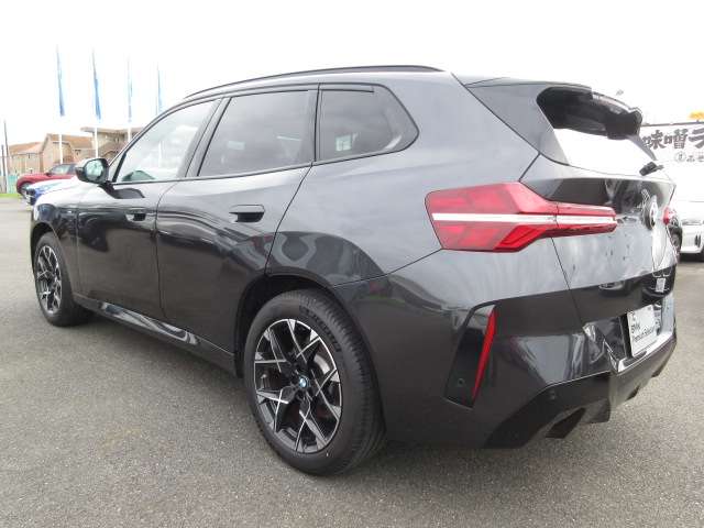 BMW X3 9