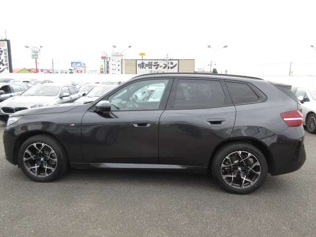 BMW X3 10