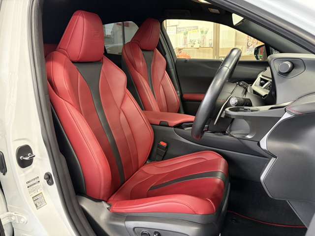 Lexus UX 12
