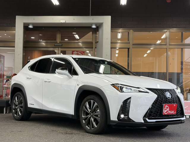 Lexus UX 8