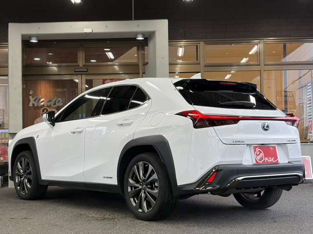 Lexus UX 9