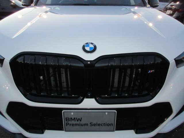 BMW X1 12