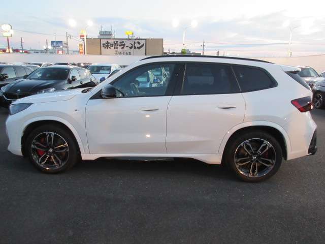 BMW X1 10