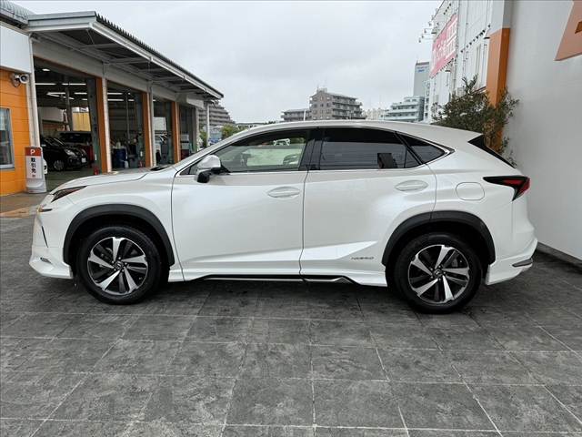 Lexus NX 11