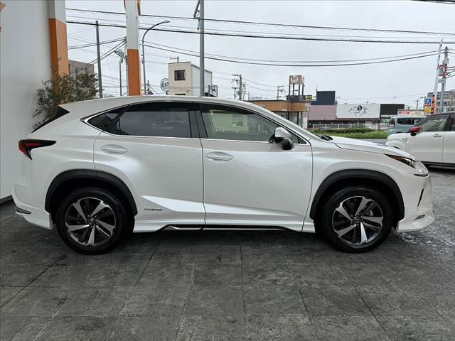 Lexus NX 12