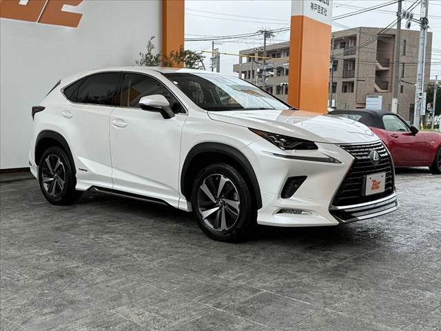 Lexus NX 8
