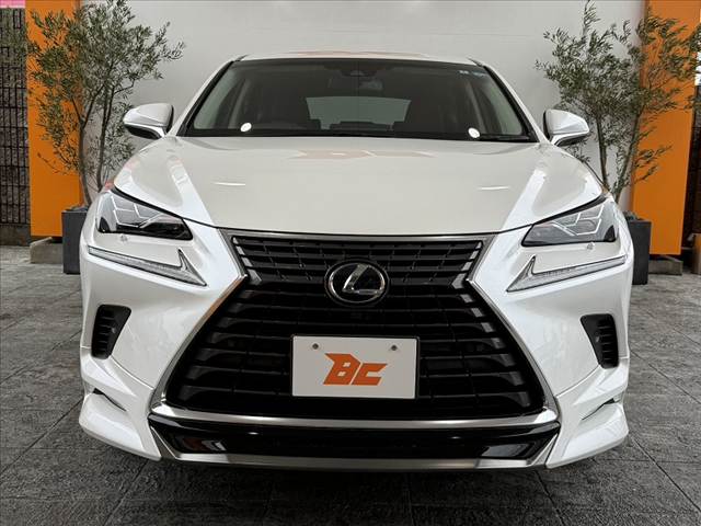 Lexus NX 9