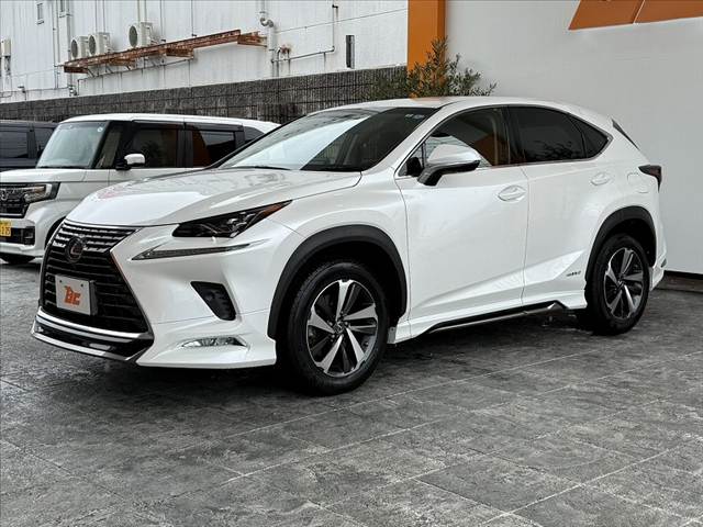 Lexus NX 10
