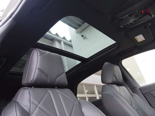 DS Automobiles DS7 10