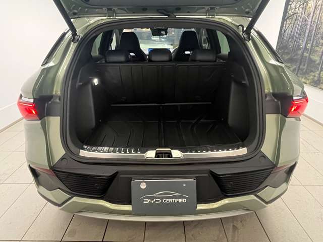 BYD BYD ATTO 3 8