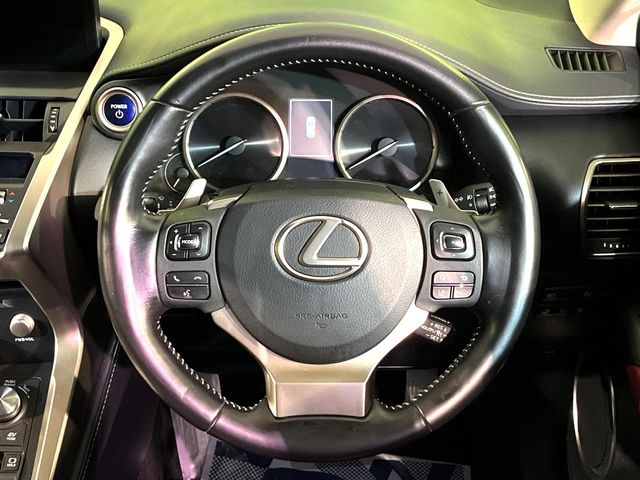 Lexus NX 11