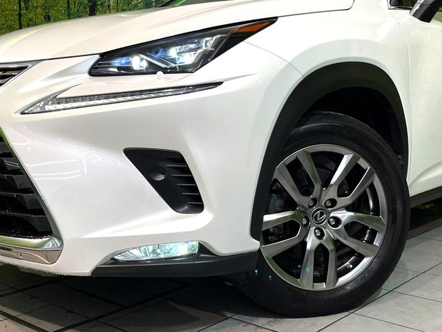 Lexus NX 12