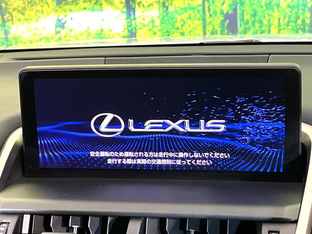 Lexus NX 4