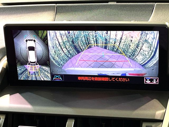 Lexus NX 5