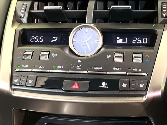 Lexus NX 6
