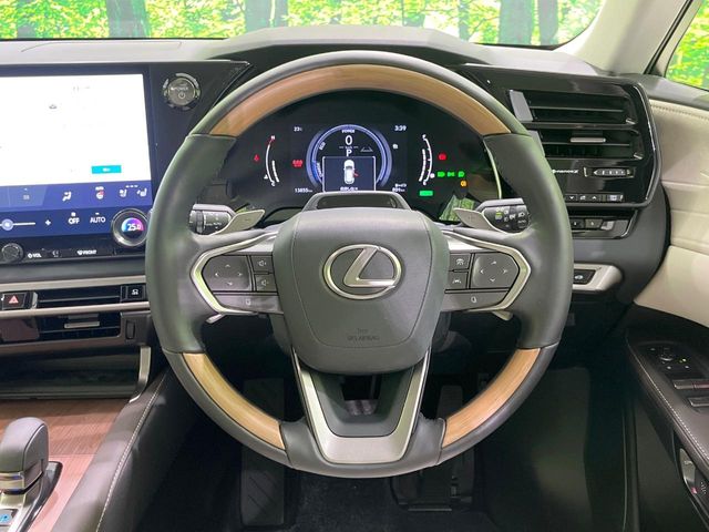 Lexus RX 11