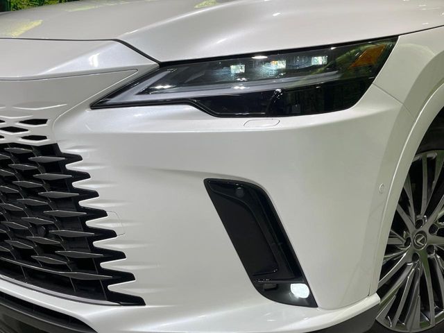 Lexus RX 12