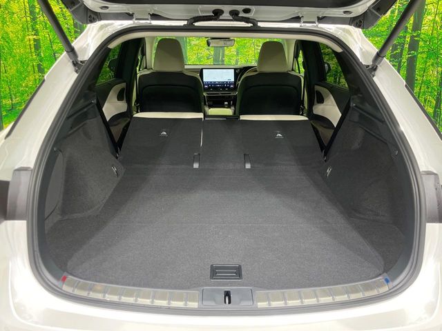 Lexus RX 10