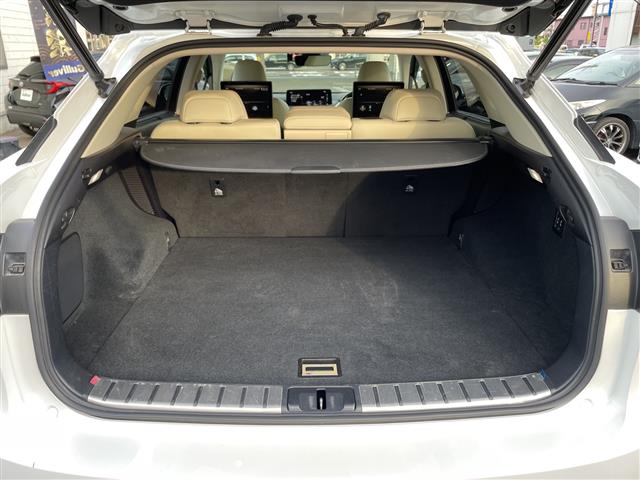 Lexus RX 11