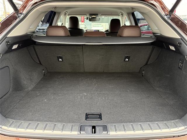 Lexus RX 9