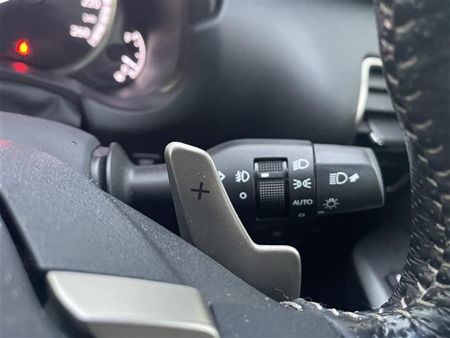 Lexus NX 10