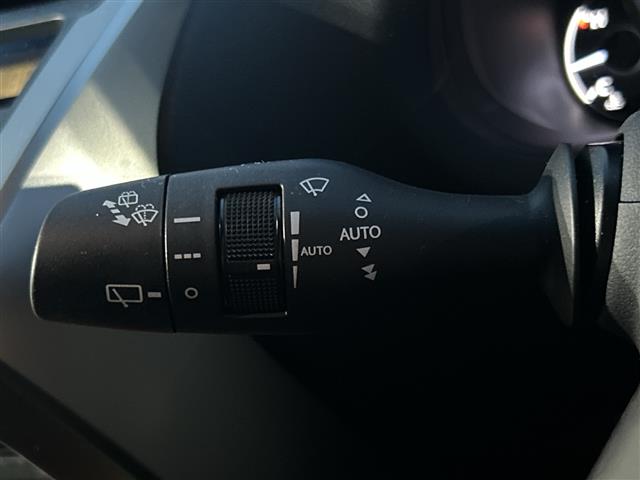 Lexus NX 12