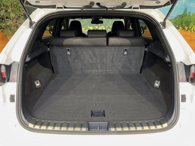 Lexus NX 11