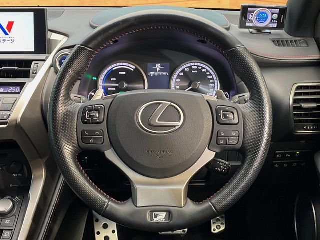 Lexus NX 12