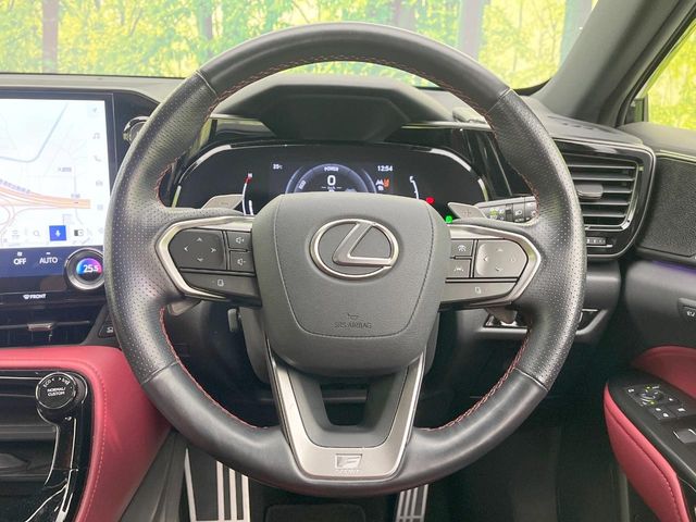 Lexus NX 11