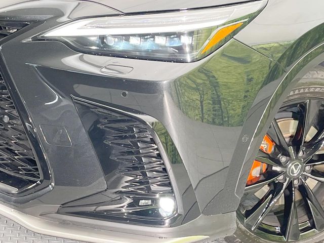 Lexus NX 12