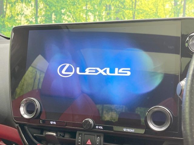 Lexus NX 4