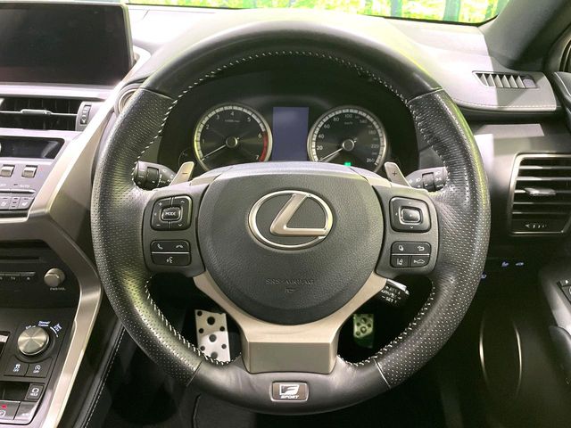 Lexus NX 11