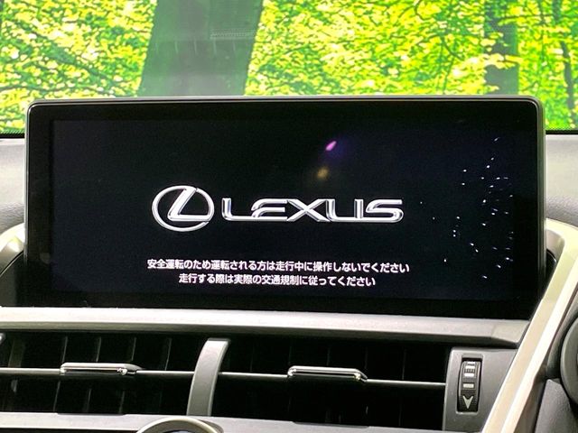 Lexus NX 4