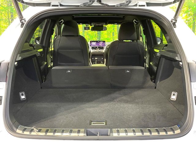 Lexus NX 10