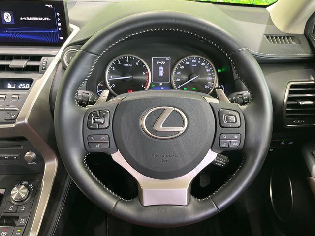 Lexus NX 11