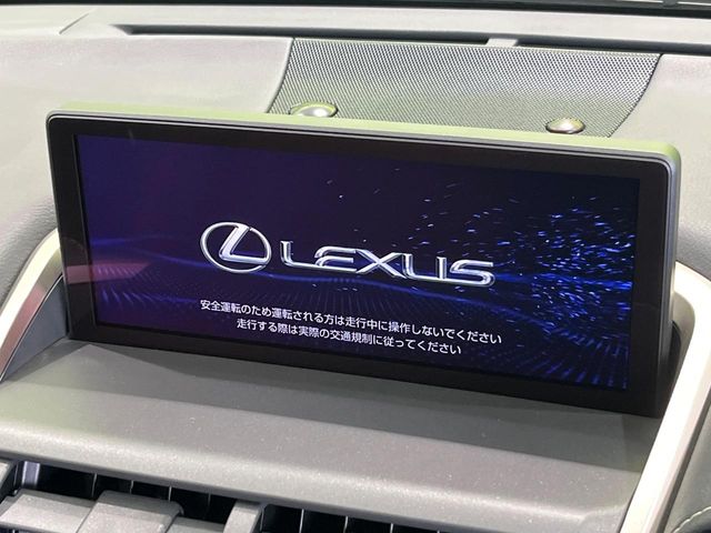 Lexus NX 4