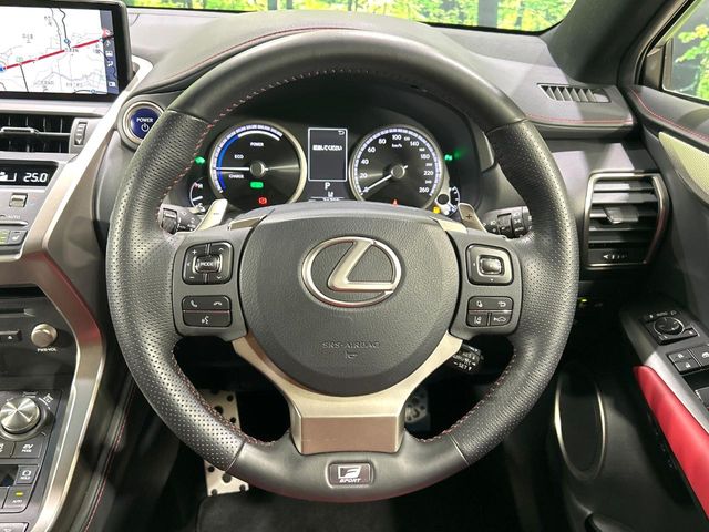 Lexus NX 11