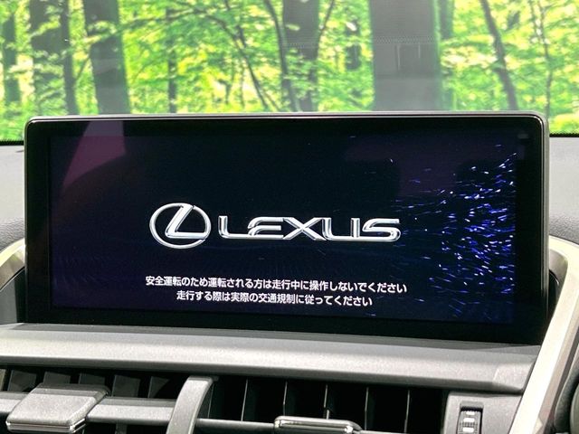 Lexus NX 4