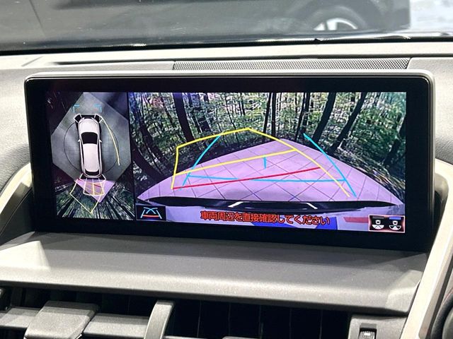 Lexus NX 5