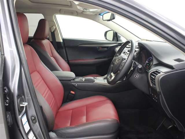 Lexus NX 10